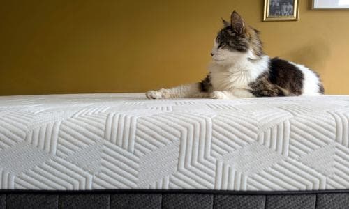 The best mattresses in 2026: sleep better with our 12 rigorously tested picks