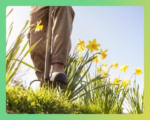 Ready, set, grow! How to refresh your garden for spring