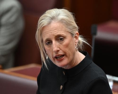 Australian government could explore using AI for cabinet submissions despite security concerns
