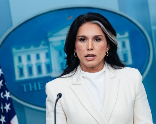Tulsi Gabbard reportedly oversaw probe of Puerto Rico voting machines last year – as it happened