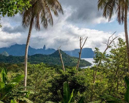 Villagers on Príncipe, the ‘African Galapagos’, to be paid for protecting the ecosystem