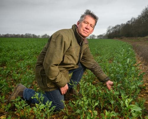 ‘The sums don’t add up’: UK farmers struggle as Iran war drives up costs