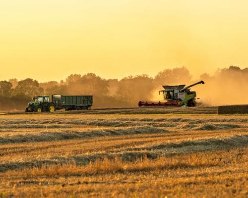 UK must stockpile food in readiness for climate shocks or war, expert warns
